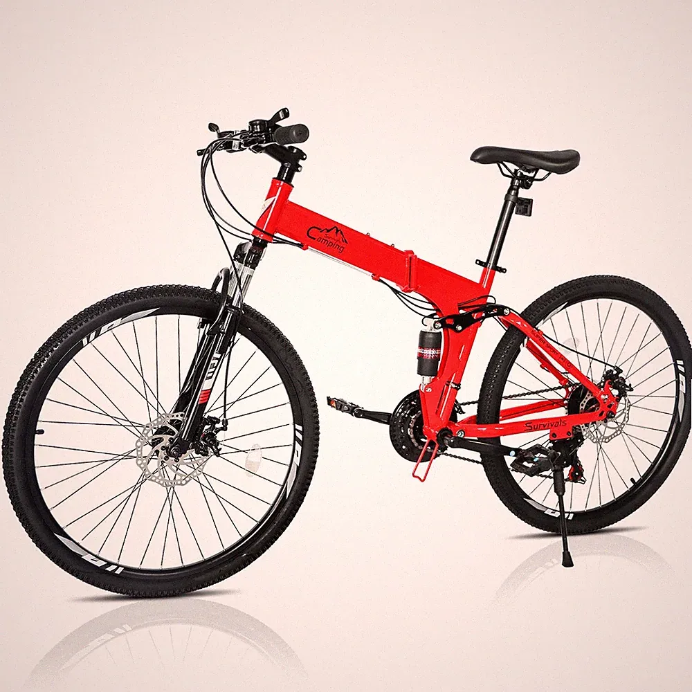 Aluminum Folding Bike