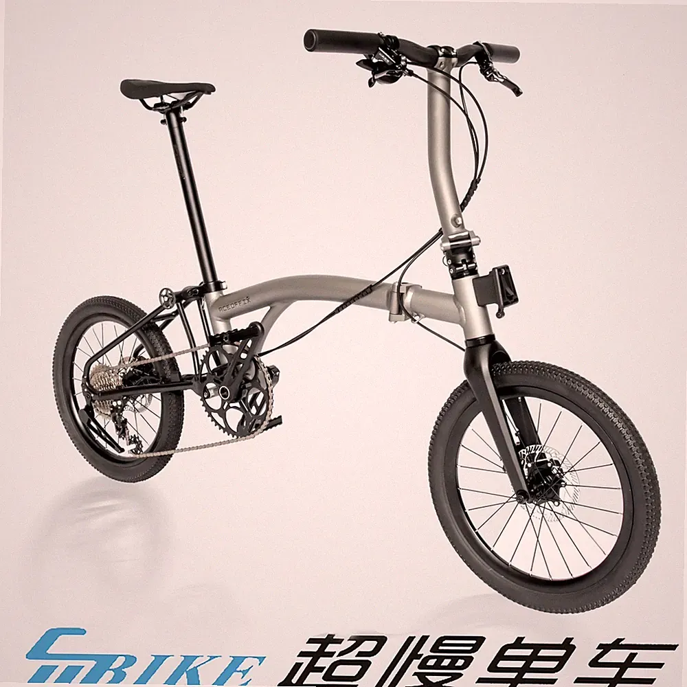 Aceoffix aluminum alloy D10 folding bike disc brake 10speed