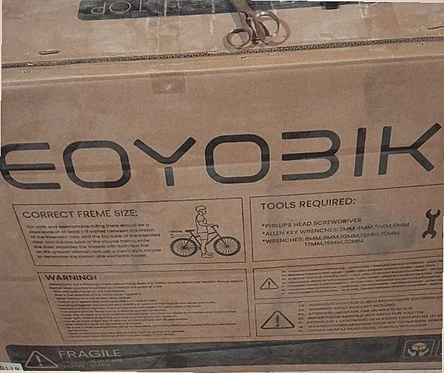 Never Used Tricycle